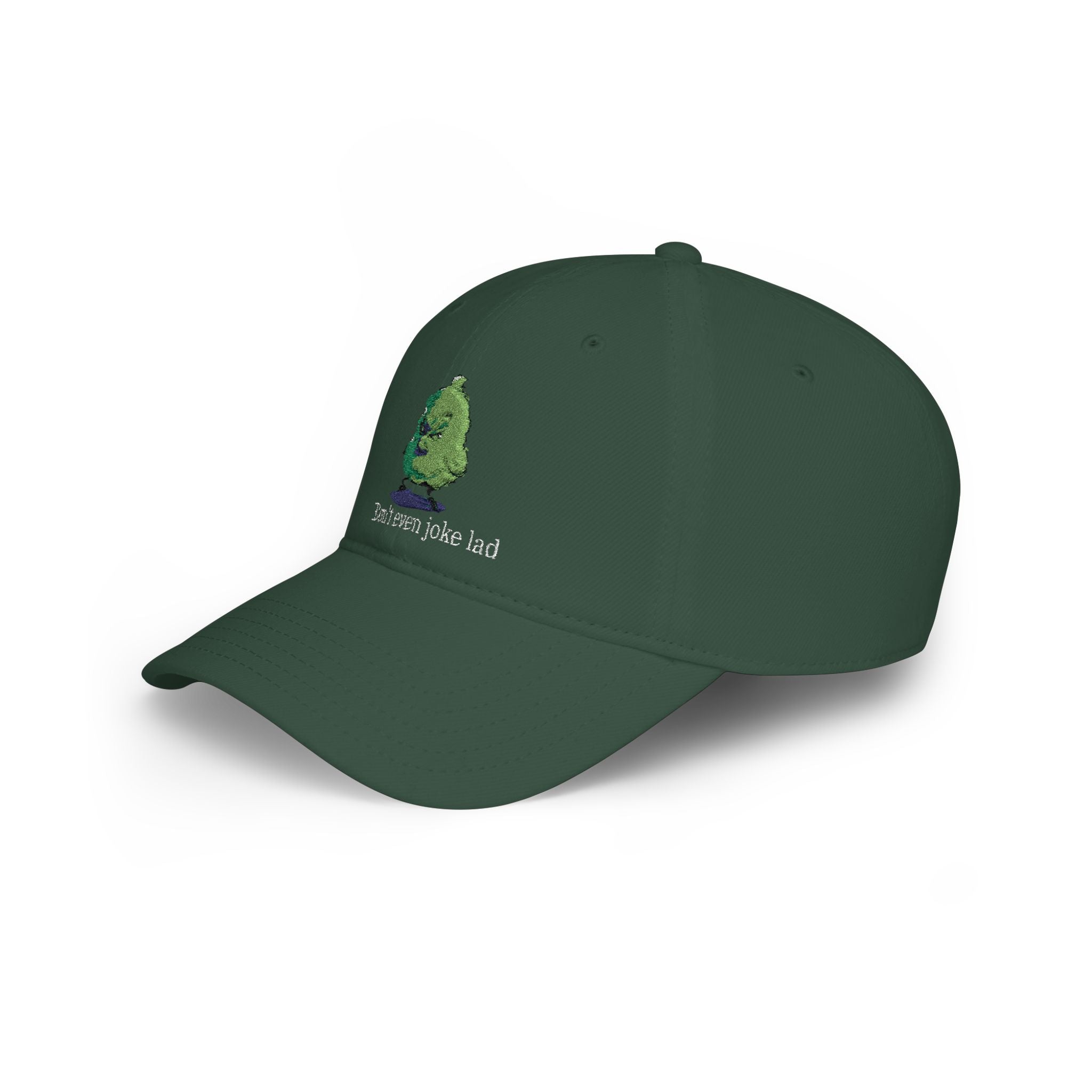 Embroidered Grumpy Bird Cap (Don't even joke lad)
